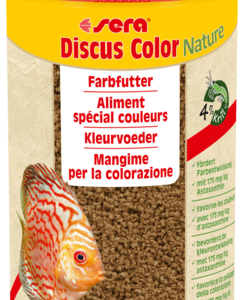 Discus color