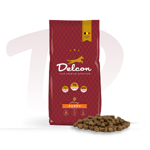 Puppy - Afbeelding 1