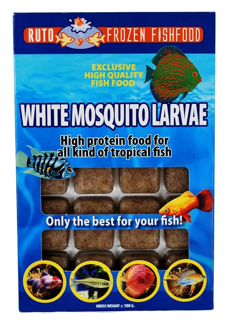 Witte muggen larven Blister Pack (100g) - diepvries - Afbeelding 1